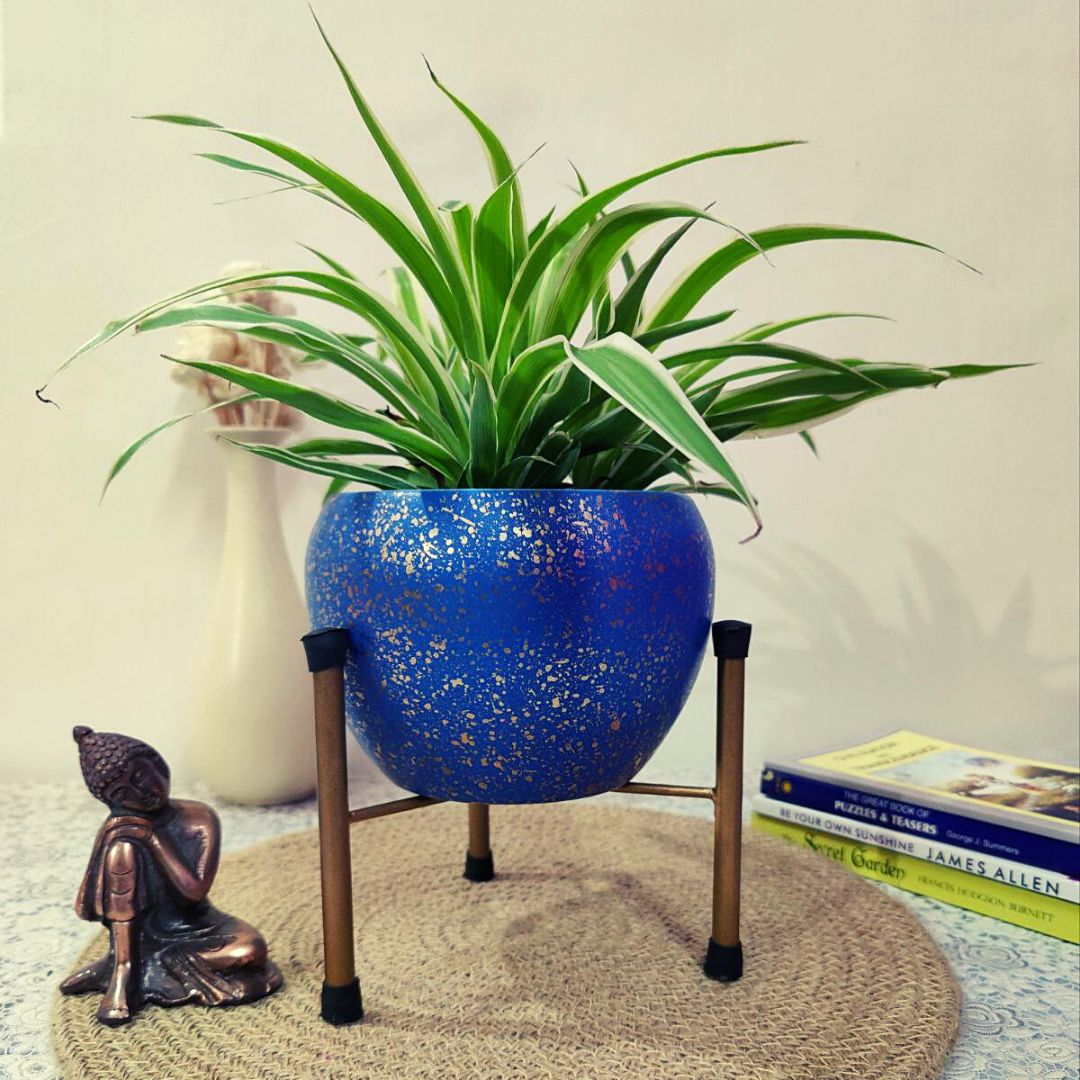 Homefrills Metal Planter Pot with Stand for Plants & Flowers Table Top Planter for Living Room, Home Decor Decorative Pots for Indoor Plants Rust Free Metal Planter (Colour- Blue)